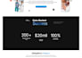 do wordpress website development design redesign and clone